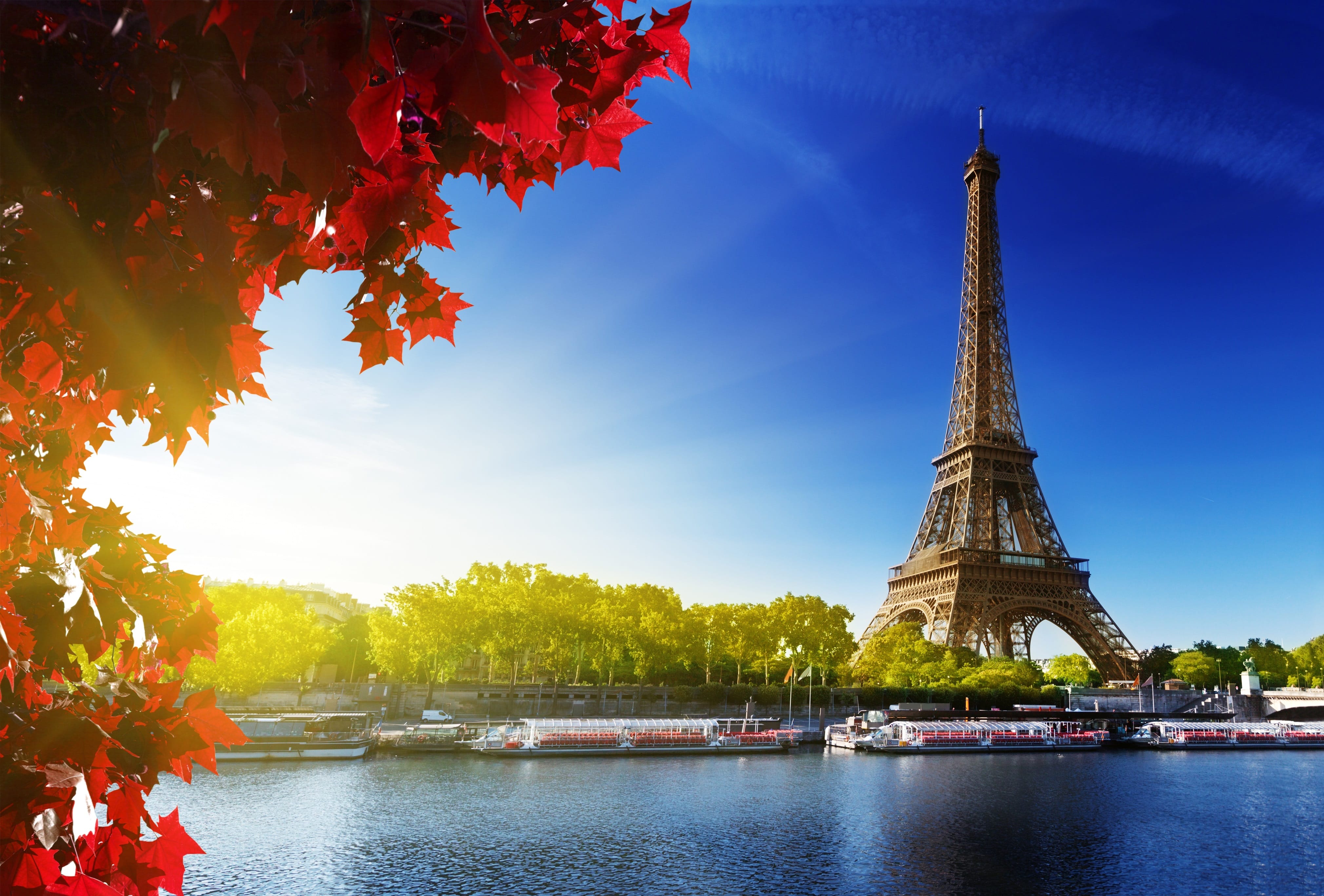 The Eiffel Tower in Paris